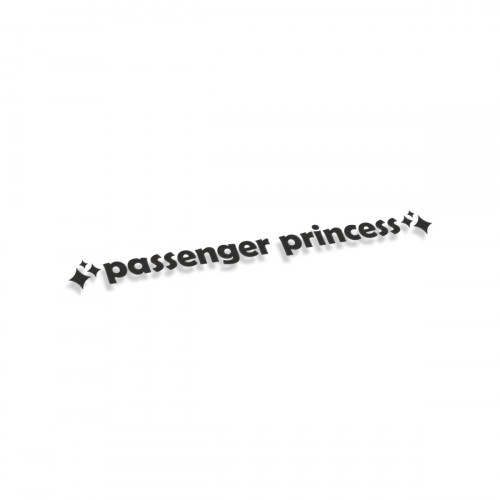 Passenger Princess #2